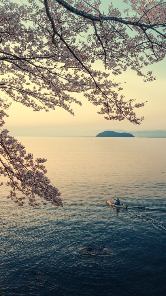 landscape, lake, lake biwa, island, spring, sakura, nature, canoe, early morning, japan