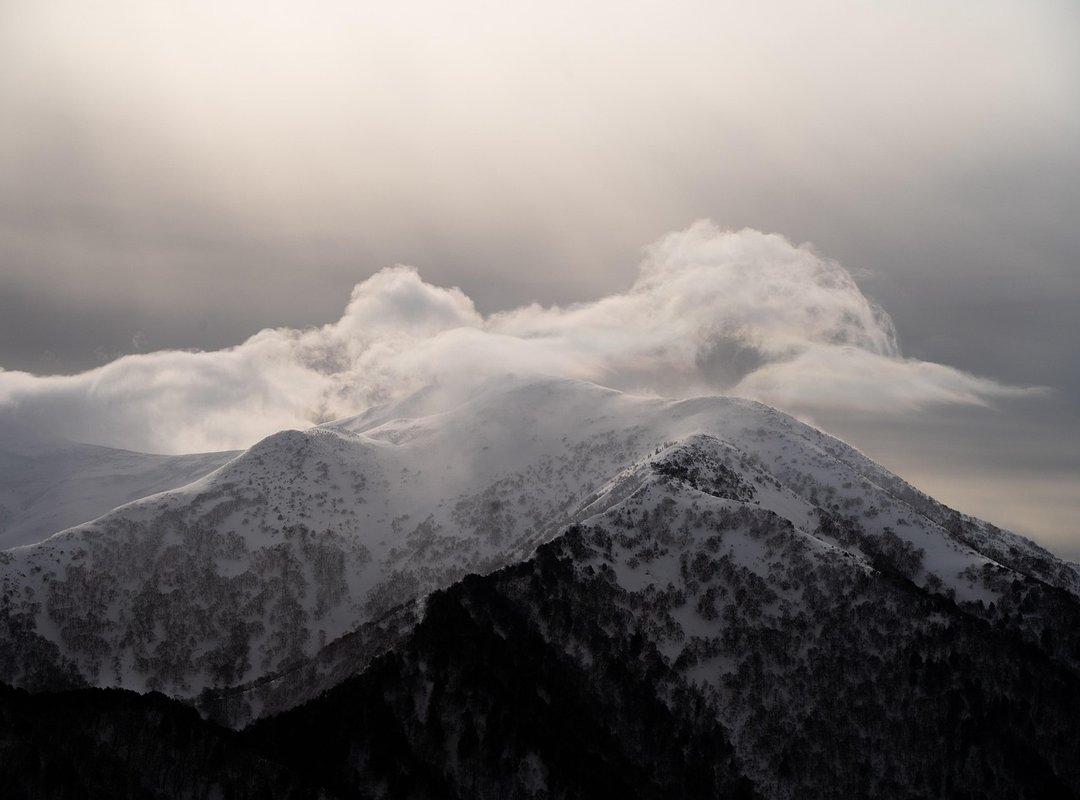 Places to Visit on the Beevitius