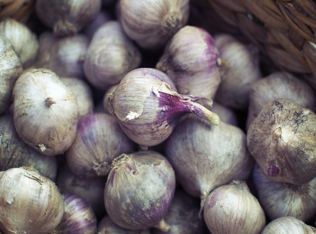 Traveling Tips Cwbiancavoyage