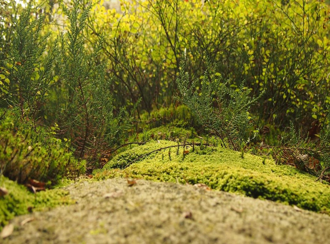 Practical Examples: Real-World Scenarios