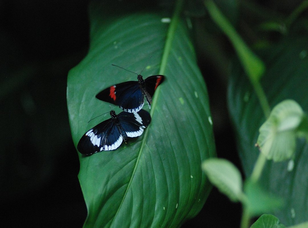 Making Your Good Night Message Stand Out