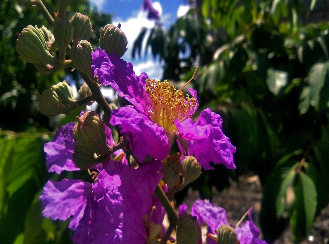 Building Your Strategy for the Next Must-Have Drop