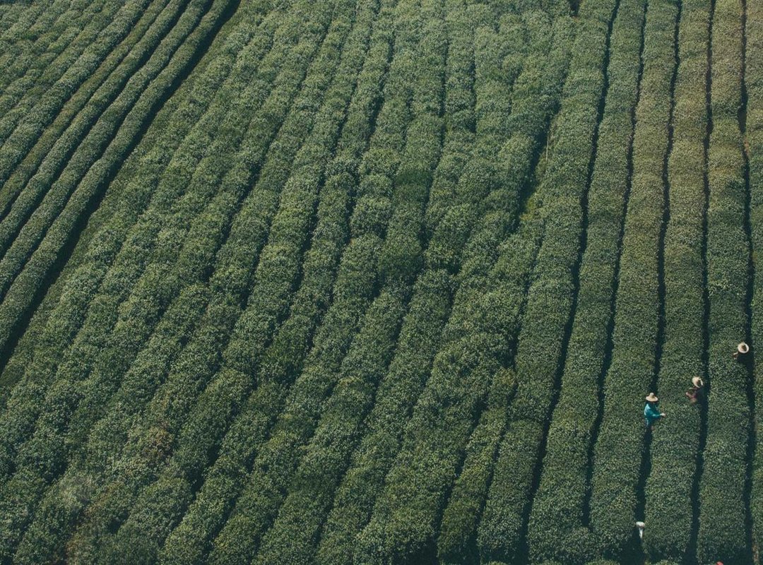 From File to Function: Installing the Driver on Your Computer