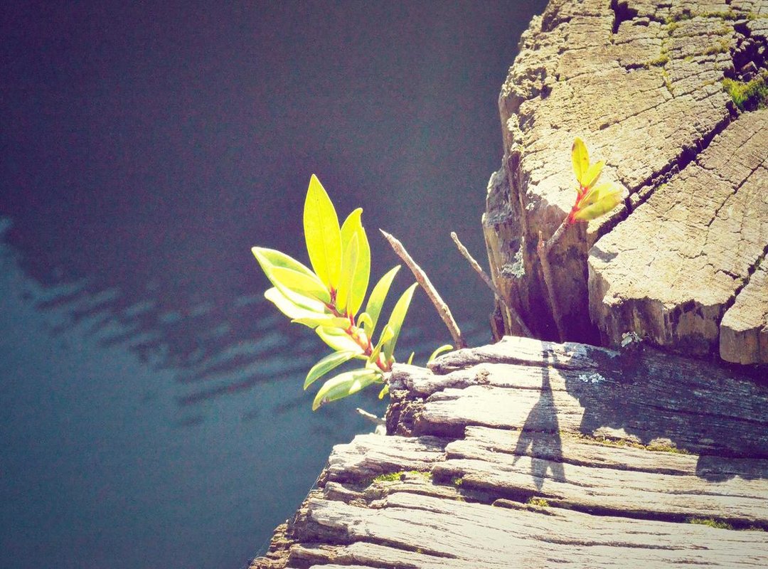 Decoding the Popularity: Why Everyone Wants This Look