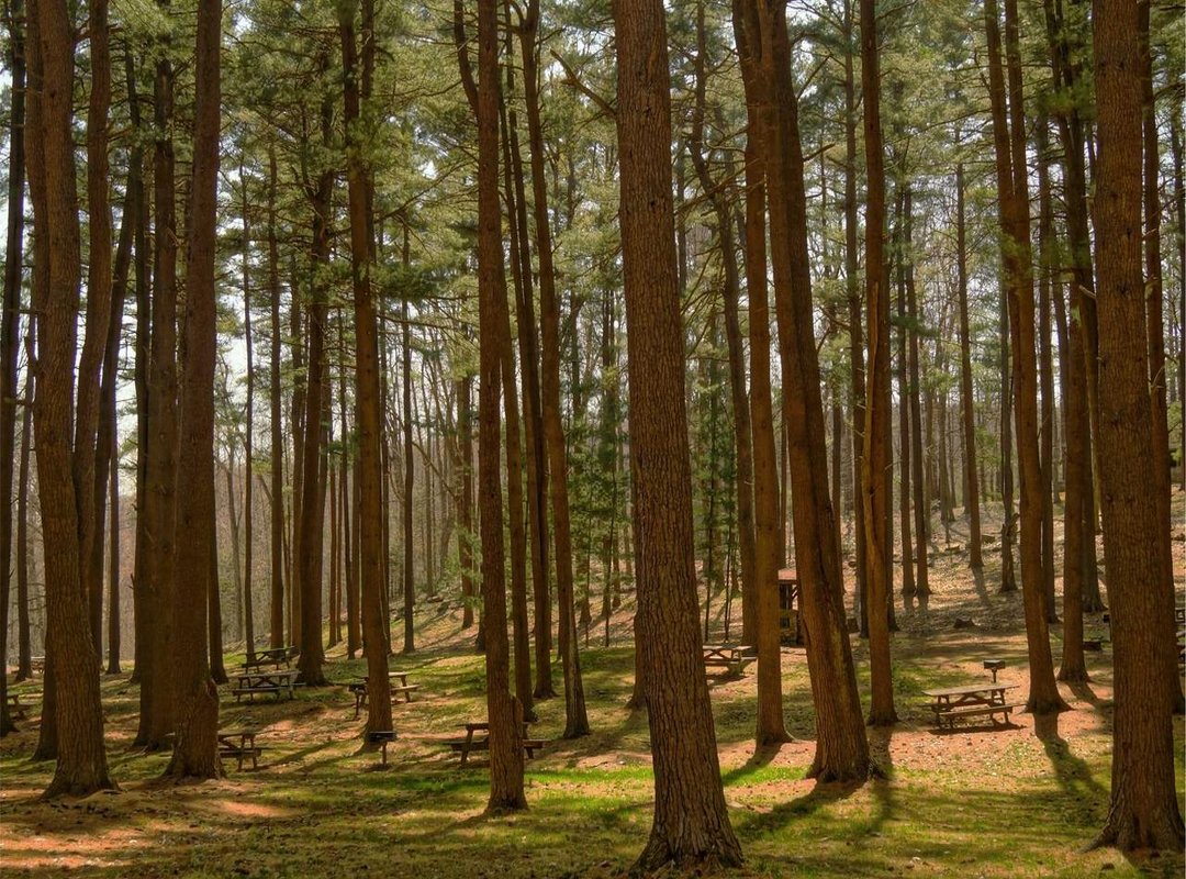 What We Offer: A Clear Overview of Our Resources