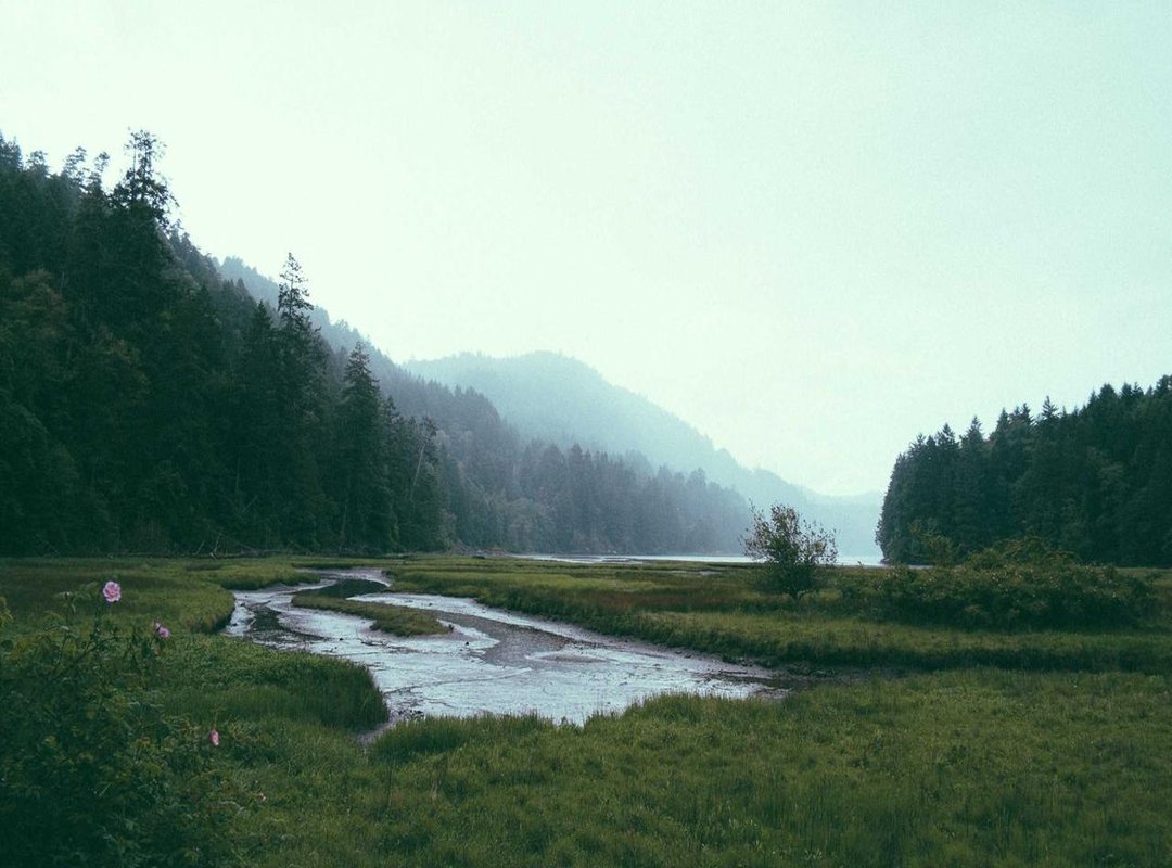 Choosing Your Setting: In-Call vs. Out-Call Services