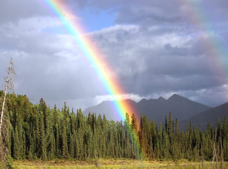 rainbow friends green png
