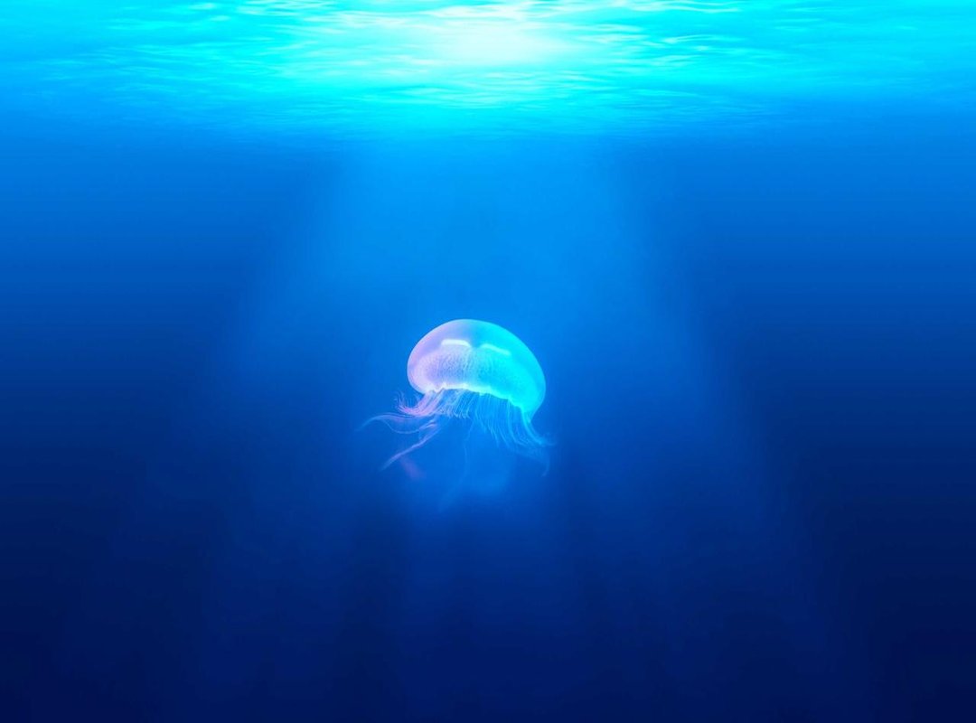 The Art of Performance: Acting Style and Industry Recognition