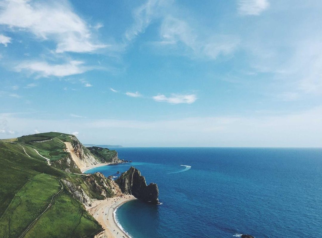 The Menu: Must-Try Drinks and Dishes