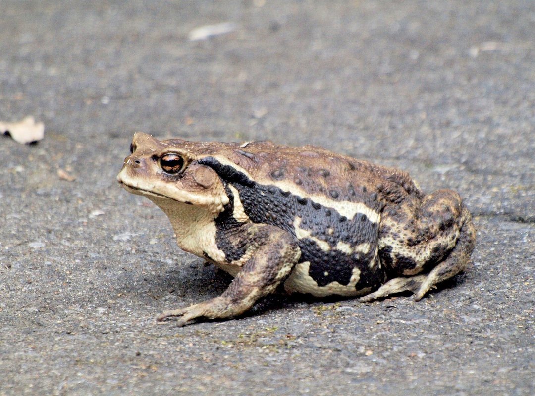 Is It a Scam? How to Spot the Red Flags