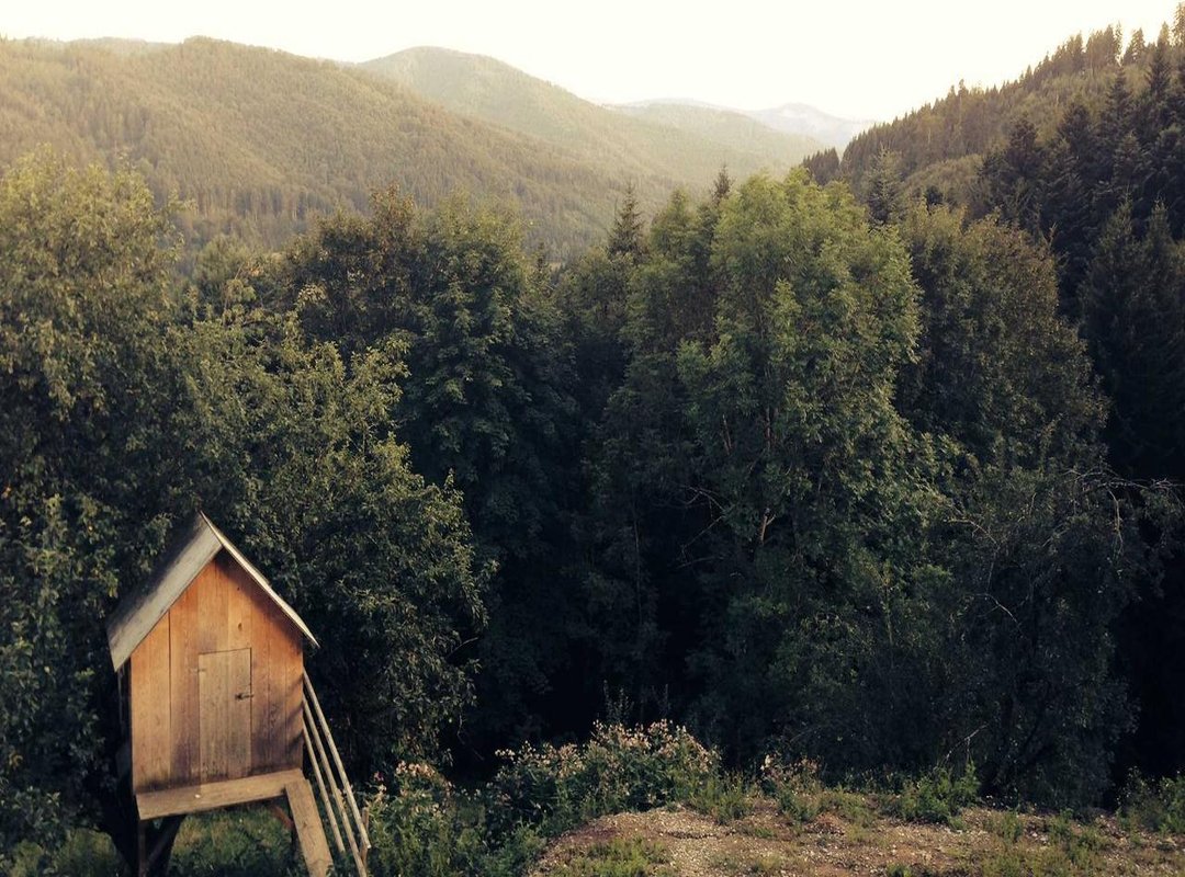 Alternative: Streaming Services with Offline Downloads