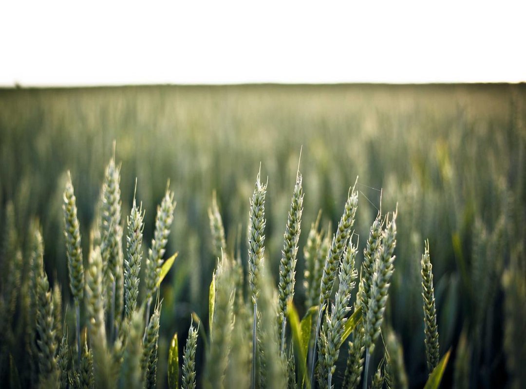 The Perfect Reply: How to Respond When You Get a 'WYS' Message